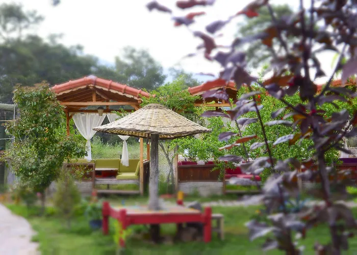 Koala Bungalows