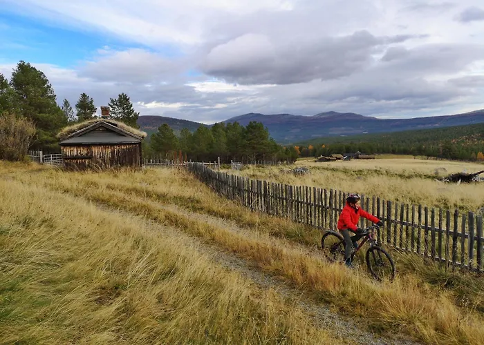 Lemonsjo Fjellstue Og Hyttegrend
