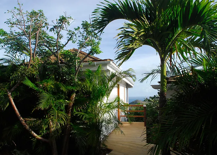 Gyp Sea Saint Barth