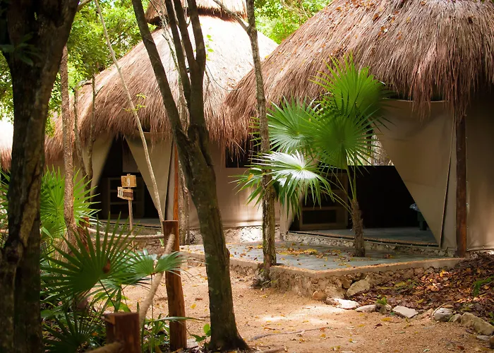 Akumal Natura Glamping
