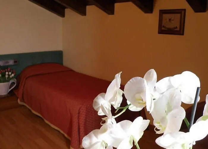 Hotel Villa Monica