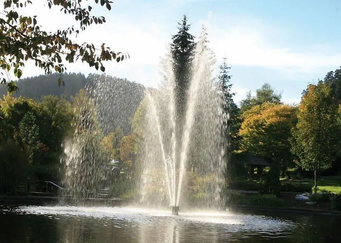 Hotel Schwarzwaldhof