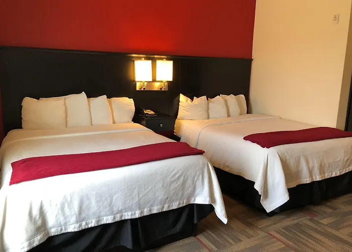 Black Gold Suites