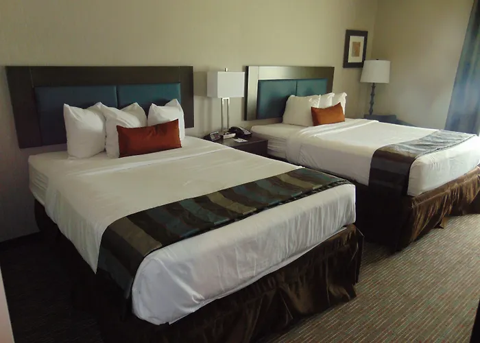 Wingate By Wyndham Lubbock
