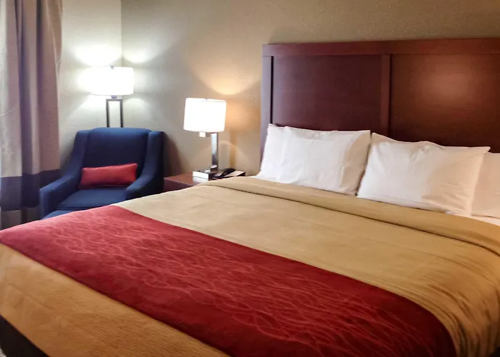 Comfort Inn & Suites Augusta