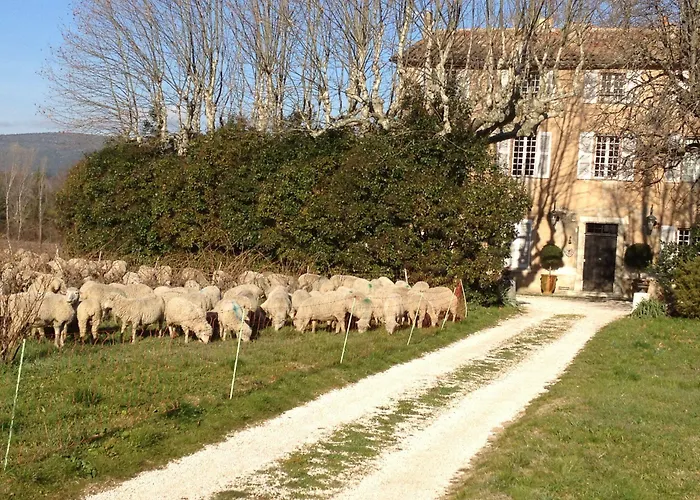 B&B Domaine Le Clos du Pavillon Authenticité et Ressourcement garantis Brignoles