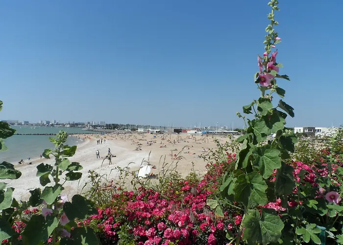Résidence avec Piscine face au port 200m plage La Rochelle 