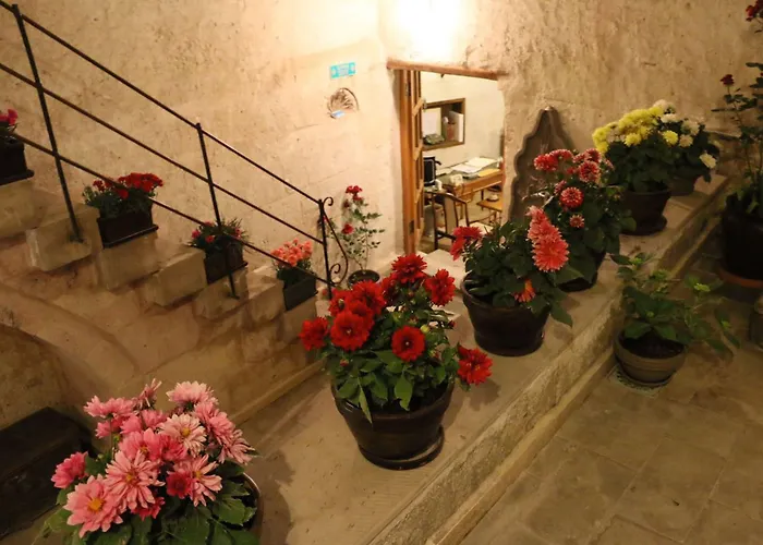 Hanimkiz Konagi