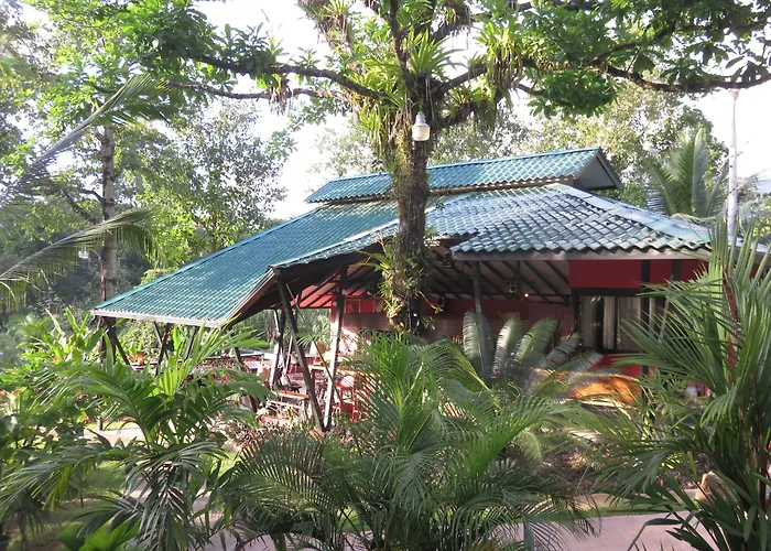 Oasis De Las Palmas