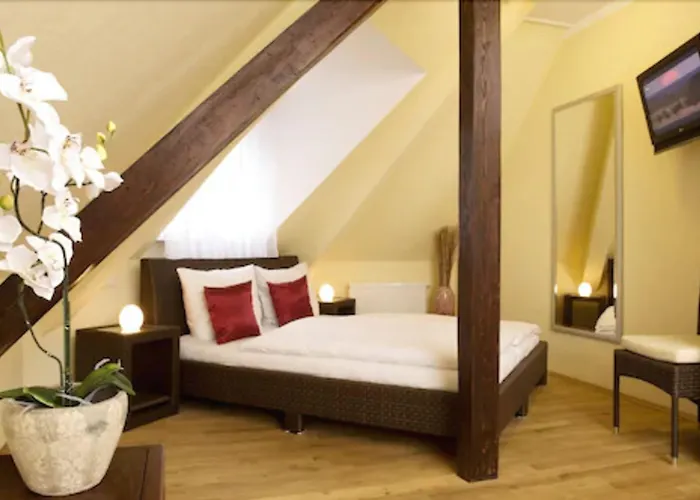 Guesthouse Heidelberg