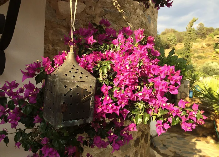Hotel Villa Tokur