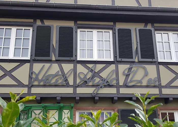 Aigle d'Or - Strasbourg Nord