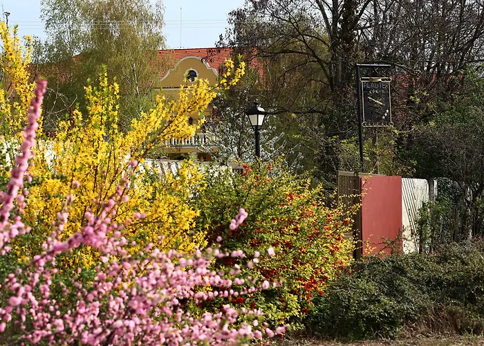 Hotel *** Plauter Kuria
