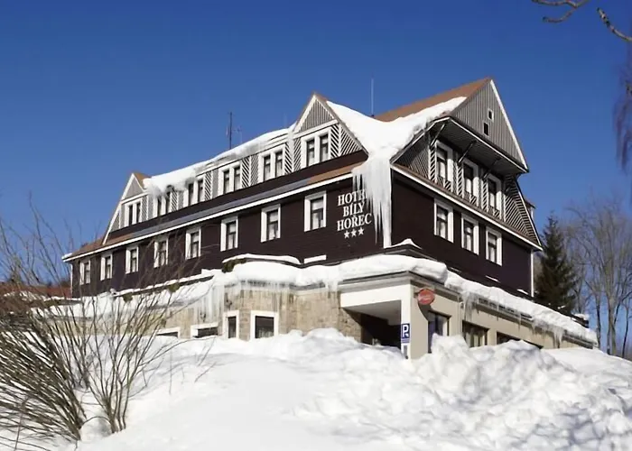 Spa Hotel Bily Horec