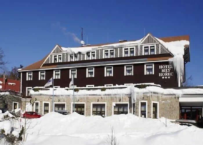 Spa Hotel Bily Horec