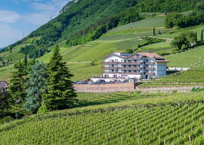 Vineus Tramin