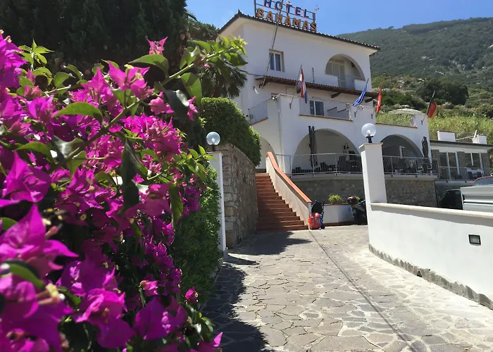 Hotel Bahamas - 100 mt dal Porto