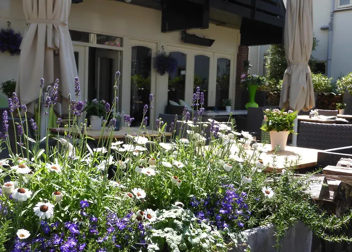 Duinberk B&B Hotel En Brasserie