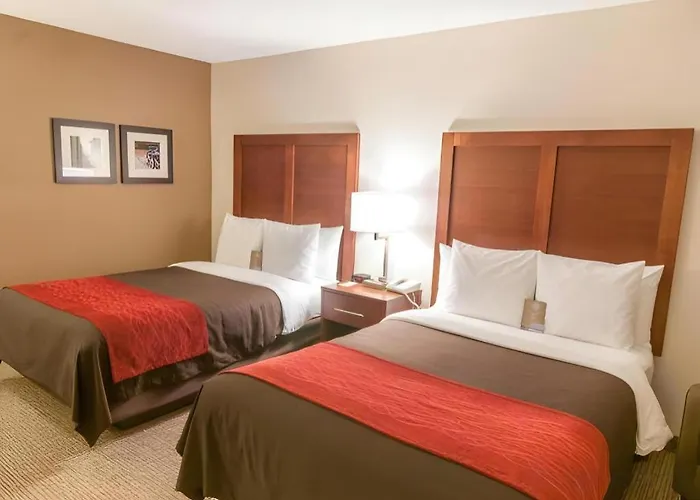 Comfort Inn Quantico
