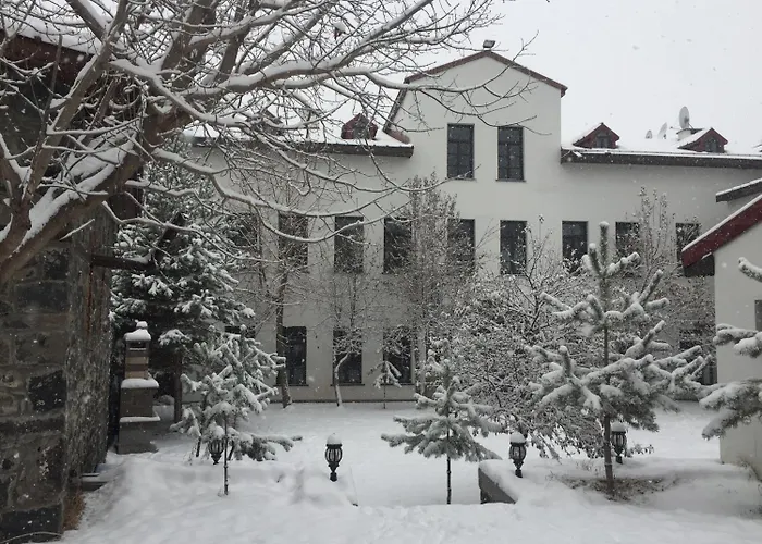 Cheltikov Hotel