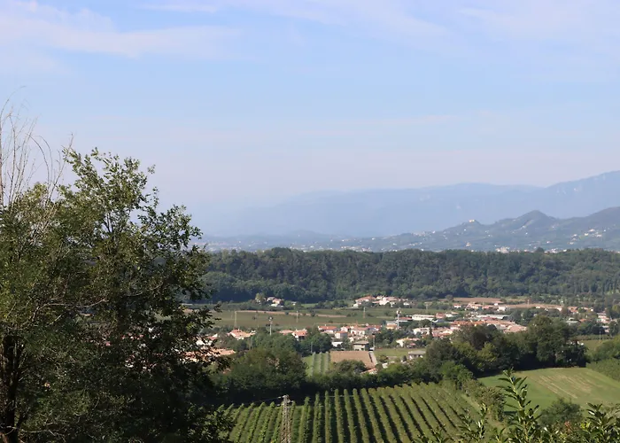 Albergo Alla Pineta