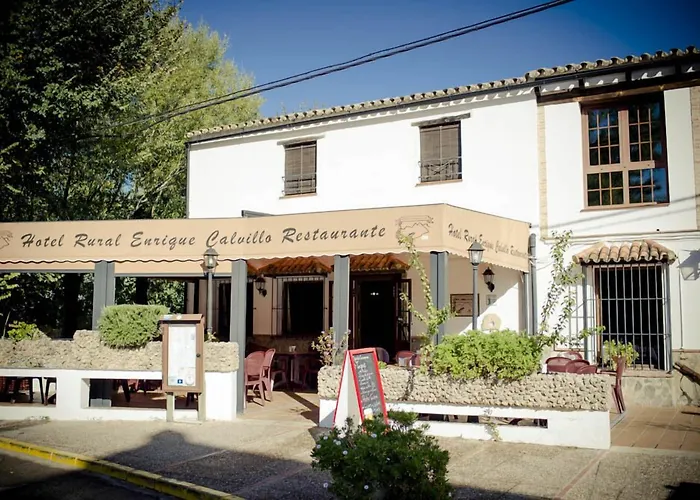 Hotel Enrique Calvillo El Bosque 