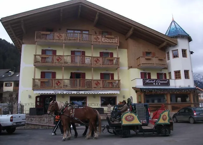 Hotel Ciamol
