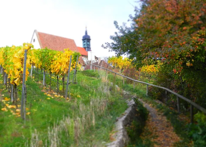 Hotel Am Torturm