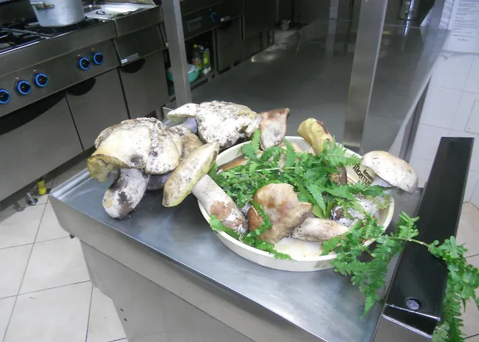 Albergo Ristorante Pizzeria La Bocca di Bacco