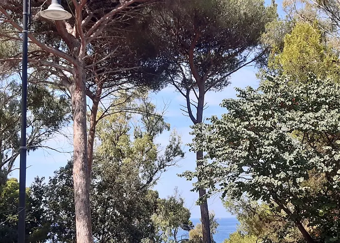 B&B Posidonia Castellabate