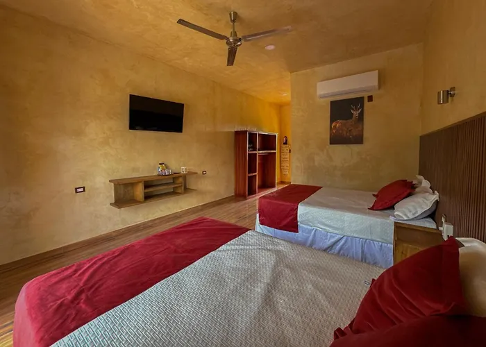 Hotel El Paraiso Calakmul - Jungle Experience