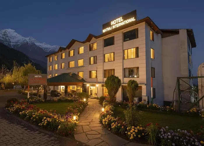 Hotel Natraj International