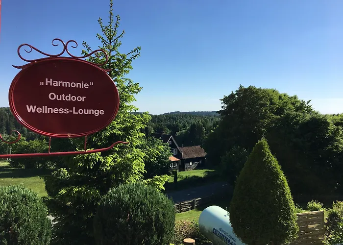 Harmonie Hotel Rust Hohegeiß
