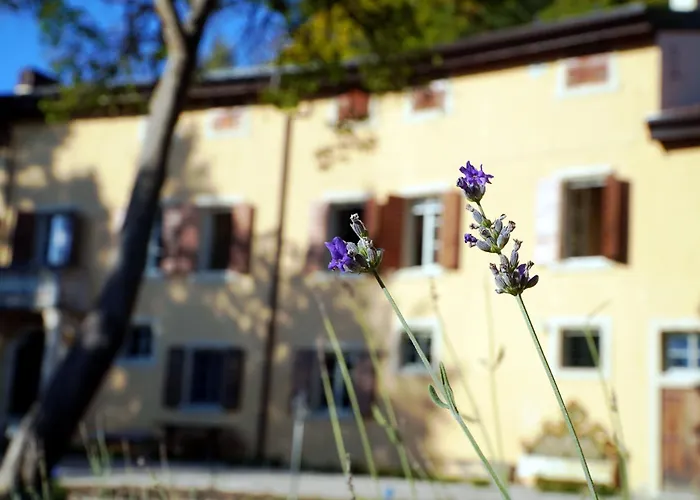Villa Dorigny Dimora Storica Con Affreschi E Giardino