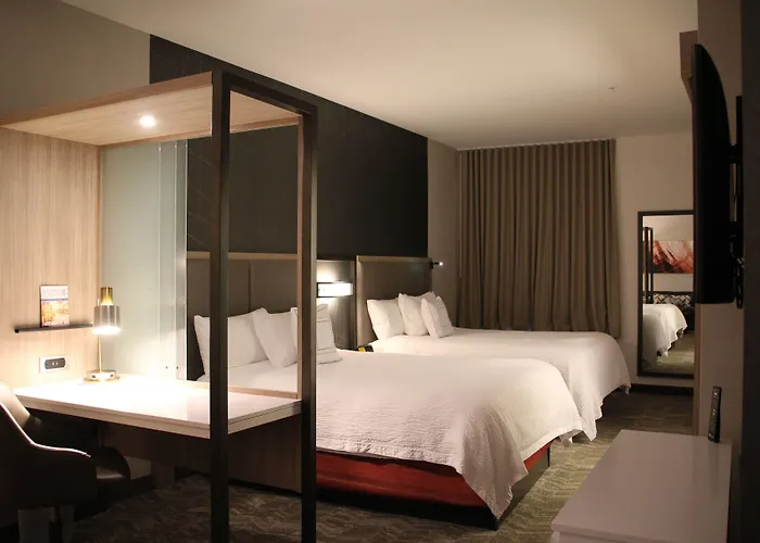Springhill Suites Baltimore White Marsh/Middle River