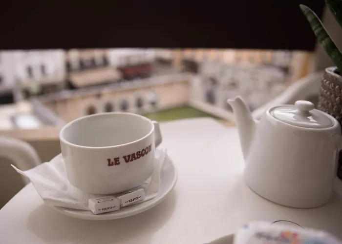 Hotel Le Vascon