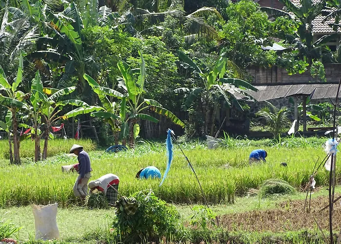 Bale Solah Lombok Holiday Resort