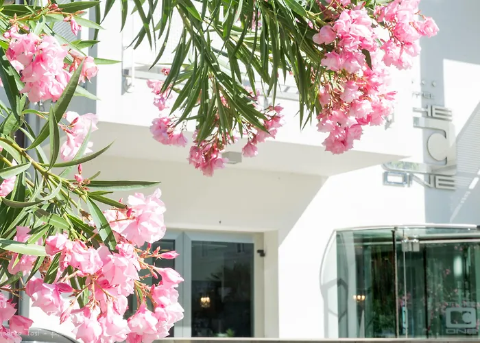 The One Hotel - Designed For Adults - Pet Lovers Riccione