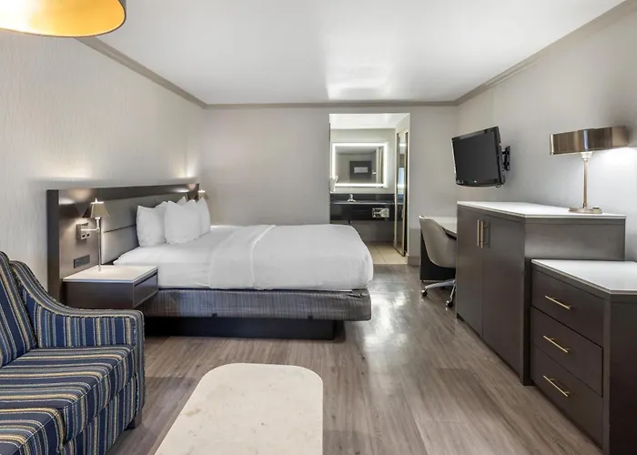 Best Western Plus Executive Suites