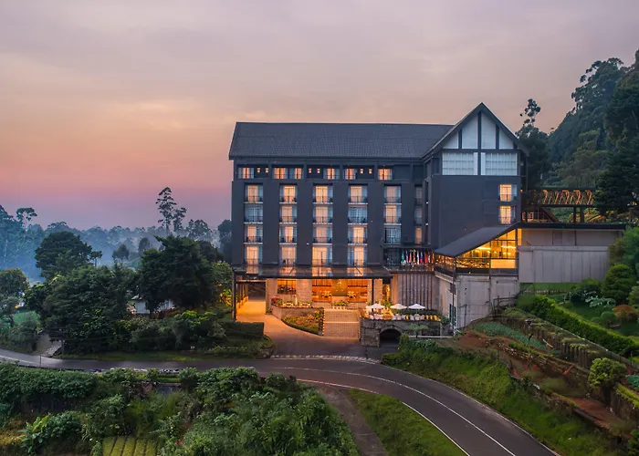 The Golden Ridge Hotel
