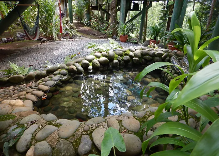 Arbol Verde Villas