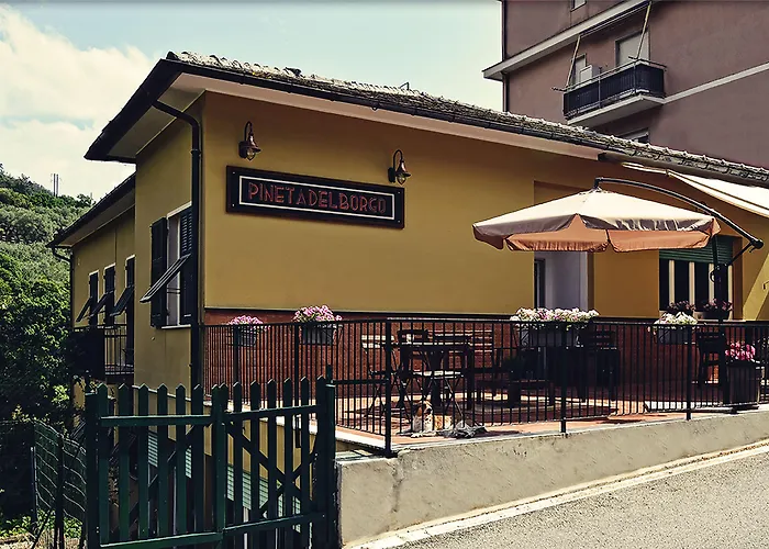 Pineta del Borgo