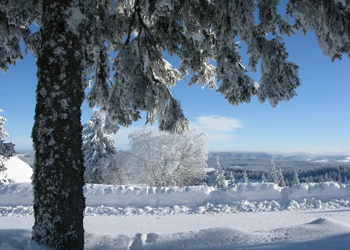 ElzLand Hotel Pfauen WELLNESS, SPA&VITALIS HOTEL