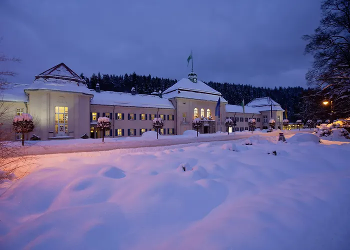 Hotel König Albert