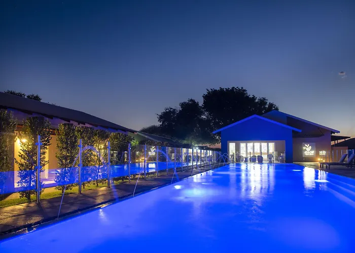 Palm Park Hotel