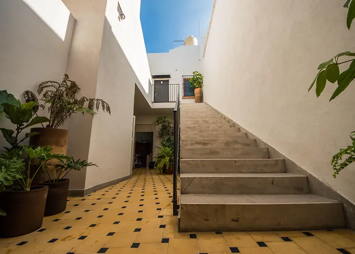Casa Montore By Barrio Mexico