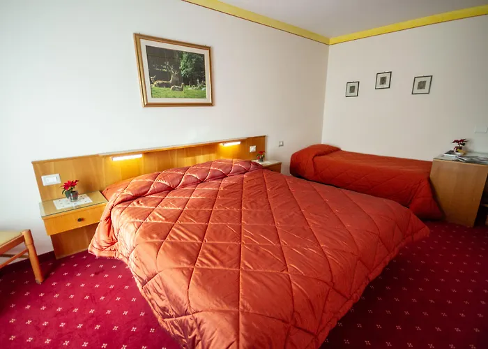 Hotel Stella Alpina