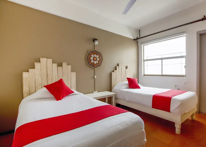 Hotel Allende 104
