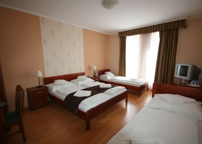 Hotel Patonai