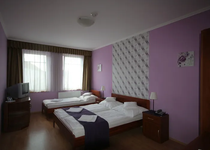 Hotel Patonai